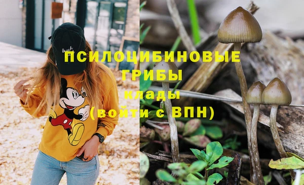 mdpv Бугульма