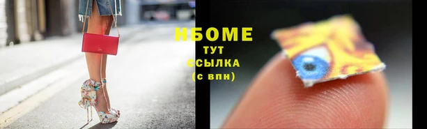 стафф Бородино