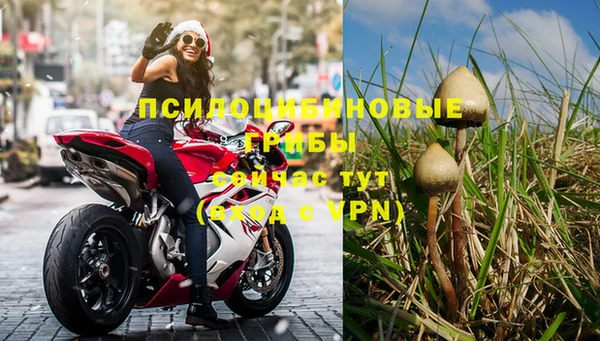 стафф Бородино