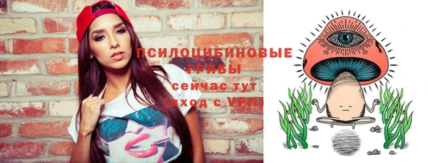mdpv Бугульма