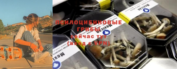 стафф Бородино