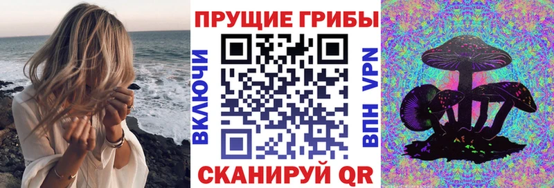 Псилоцибиновые грибы Cubensis Верея